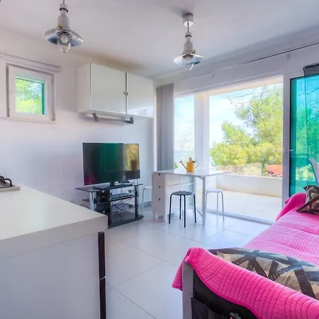 Beleca 2 Rogač