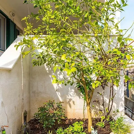Beleca 2 Apartment