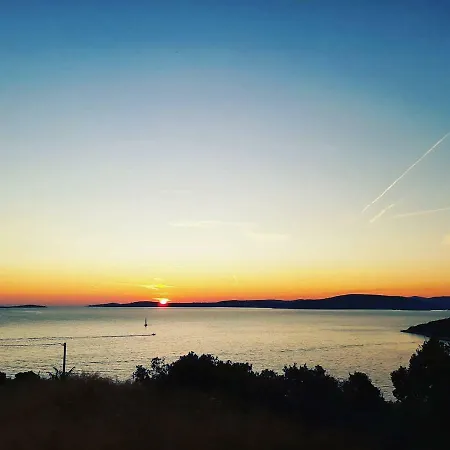 Beleca 2 Rogač