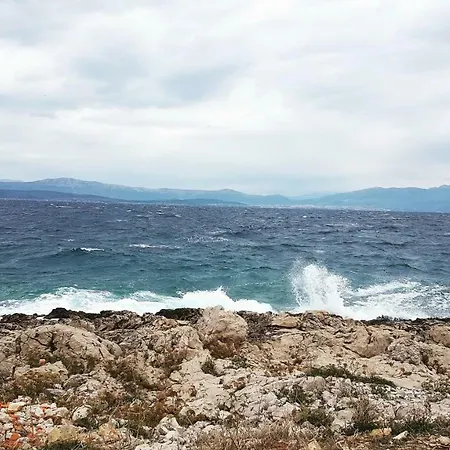 Beleca 2 * Rogač